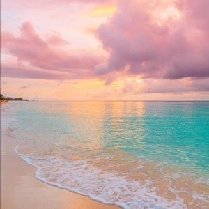 Open to all offers! Everything must go!